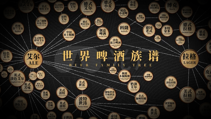 世界啤酒族谱演分子演化动画演示AE模板