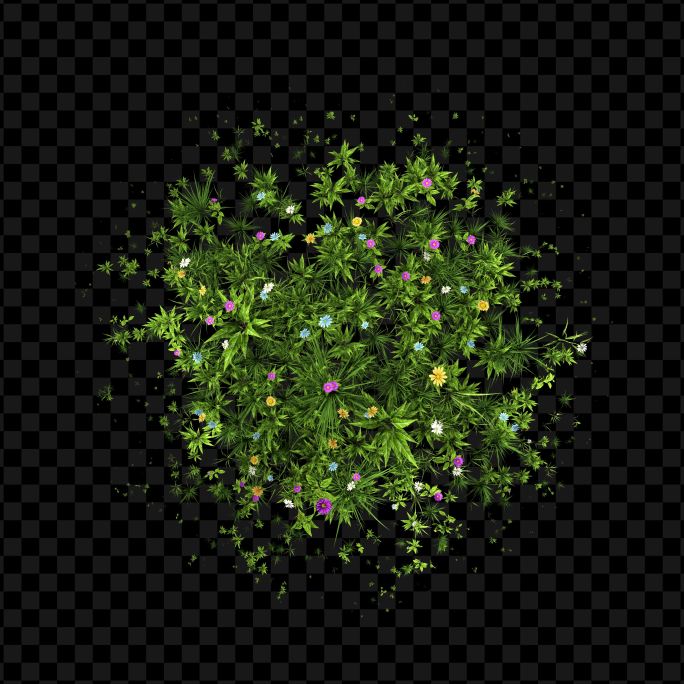4K 植被花草生长 带通道层