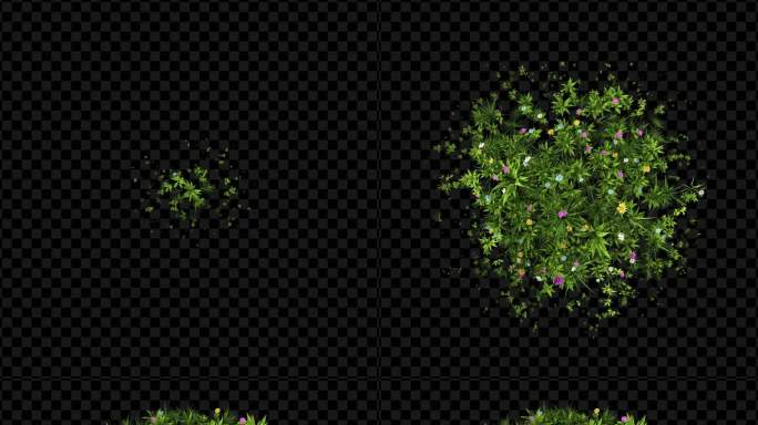4K 植被花草生长 带通道层