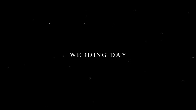 《那一秒》婚礼爱情浪漫视频