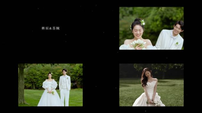 《那一秒》婚礼爱情浪漫视频