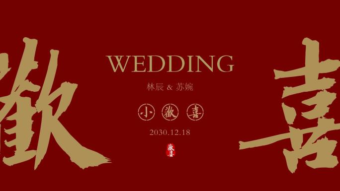 《小欢喜》婚礼爱情电子相册视频