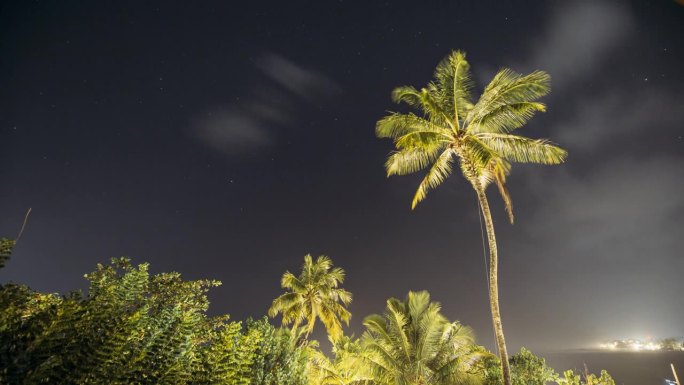 夜空星辰。椰子树在自然星空的背景下的延时摄影。斯里兰卡夜间丛林氛围。