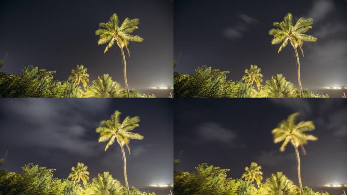夜空星辰。椰子树在自然星空的背景下的延时摄影。斯里兰卡夜间丛林氛围。