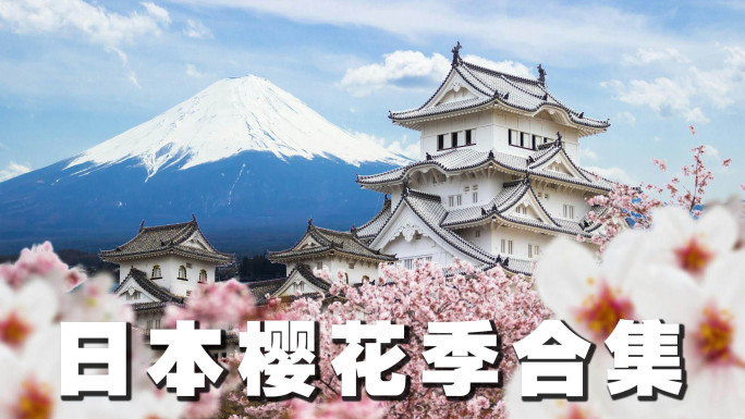 日本樱花季素材合集【4K】