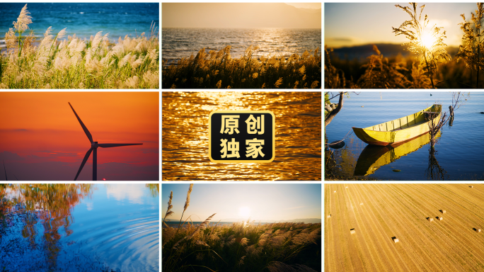 秋天秋色秋景秋分立秋夕阳落日黄昏自然风