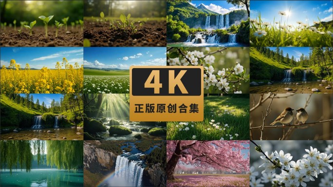 春天生机冰雪融化春暖花开万物复苏