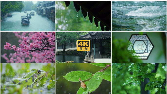 江南雨水时节景色 庭院诗意