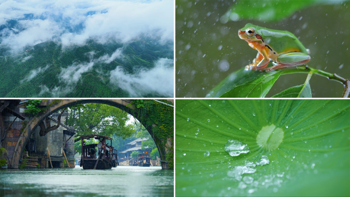 江南雨水时节景色 庭院诗意
