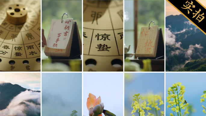 惊蛰竖版｜春天下雨 花开 小鸟 植物发芽