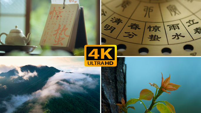 惊蛰节气｜万物复苏 唯美清新春天生态风景