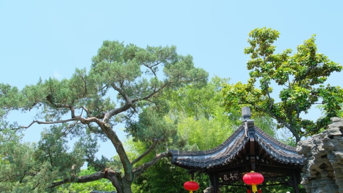 古风园林亭台楼阁凉亭松树景观