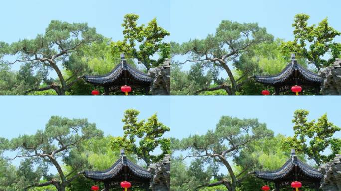 古风园林亭台楼阁凉亭松树景观