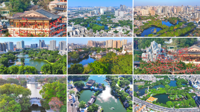 广州荔湾湖公园木棉花