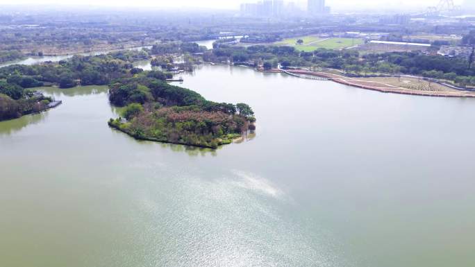 广州海珠湖 广州文化馆