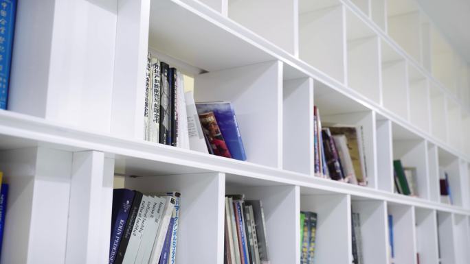 公司办公室里的书柜书架
