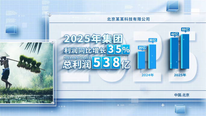 简洁商务企业图文数据图表展示AE模板