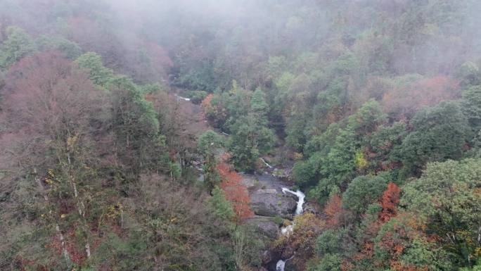 四川雅安龙苍沟景区秋景航拍合集