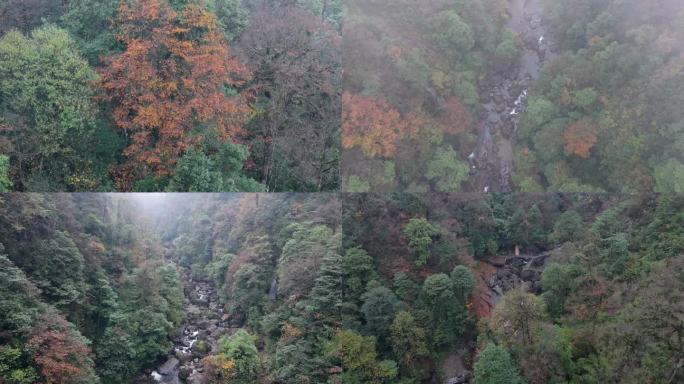 四川雅安龙苍沟景区秋景航拍合集