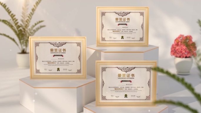 荣誉证书颁奖典礼展示证书展示【无插件】