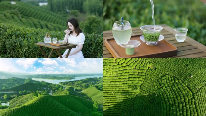 年轻女子在茶山漫步品茶