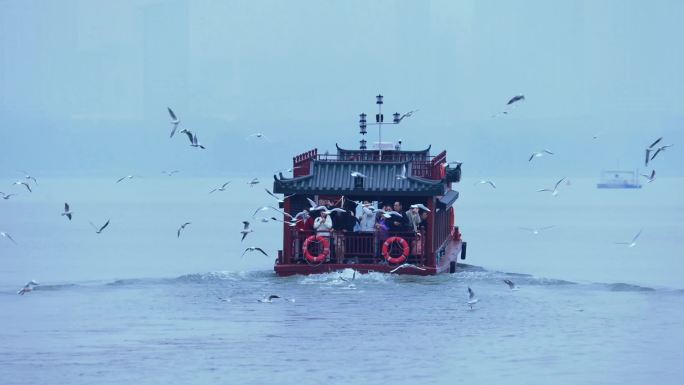 东湖海鸥 东湖游船红嘴鸥伴飞