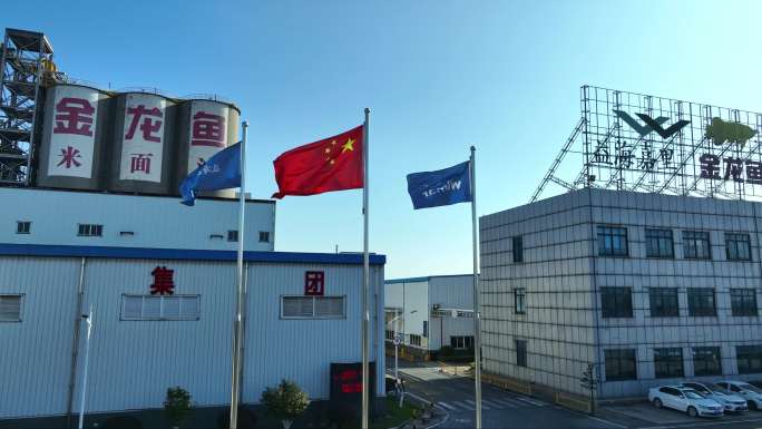 金龙鱼米面油生产基地实拍