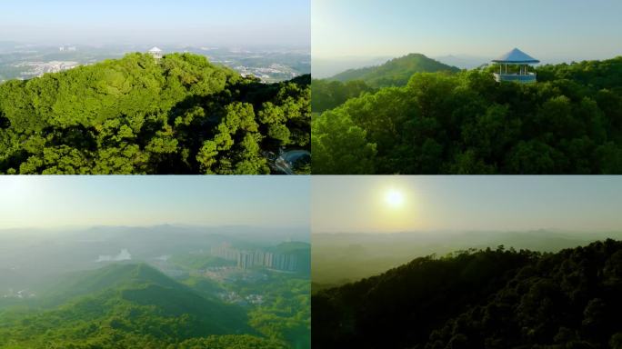 增城南香山森林公园