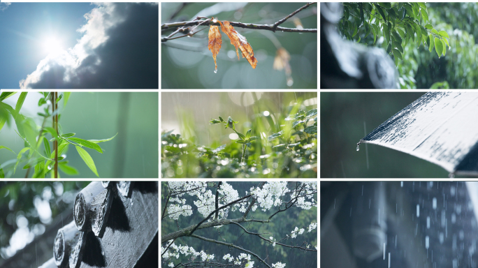 下雨春雨谷雨 清明惊蛰雨水 惊蛰节气天气