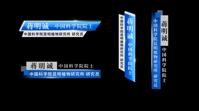 简约人名条蓝色人名条企业人名条科技模板