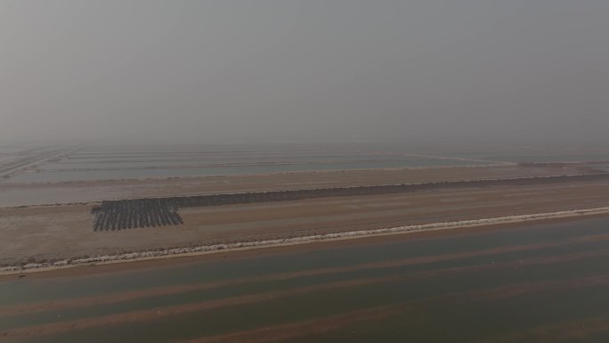 黄河入海口