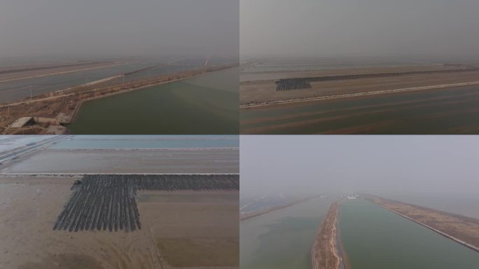 黄河入海口