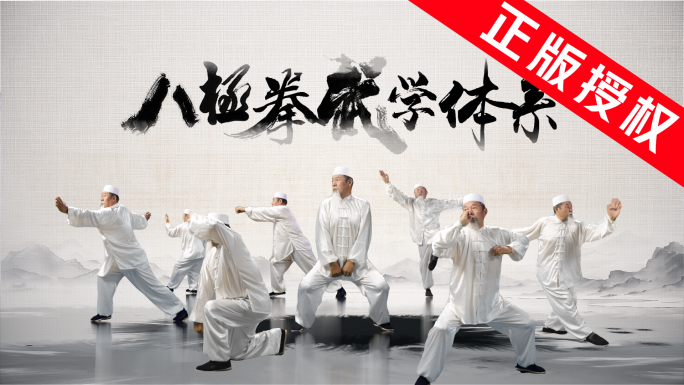 AE水墨合成可替换  中国功夫水墨风