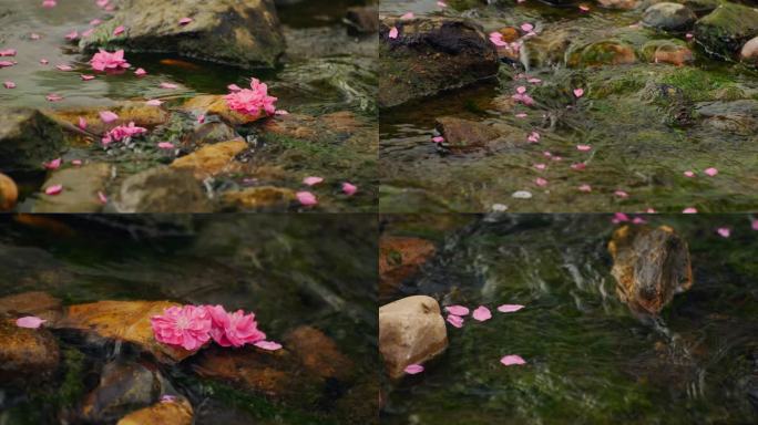 落花流水桃花流水春日美景禅意