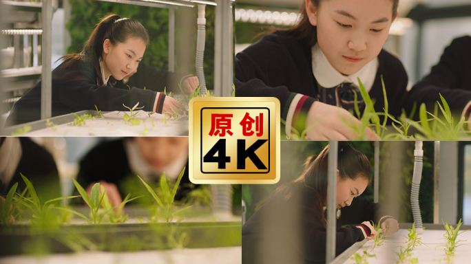 学校劳动教育课 科技创新实践活动