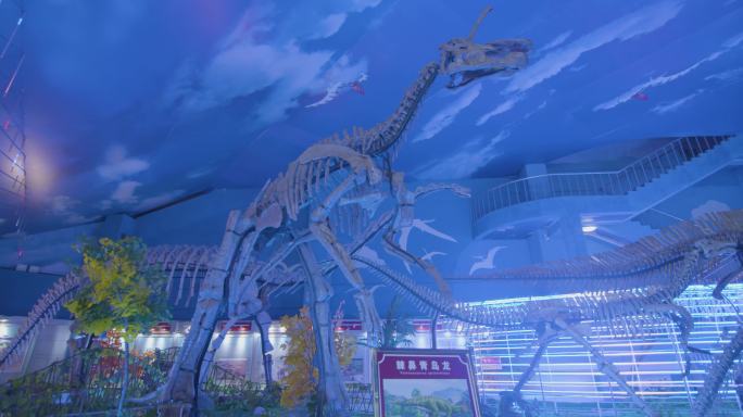 诸城恐龙博物馆 诸城 博物馆 恐龙化石