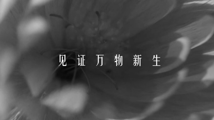 高级感黑白宽屏地产开场年会模板