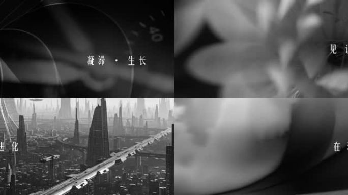 高级感黑白宽屏地产开场年会模板