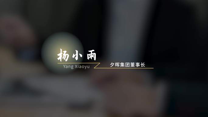 企业文艺简约高级人物介绍条/人名条