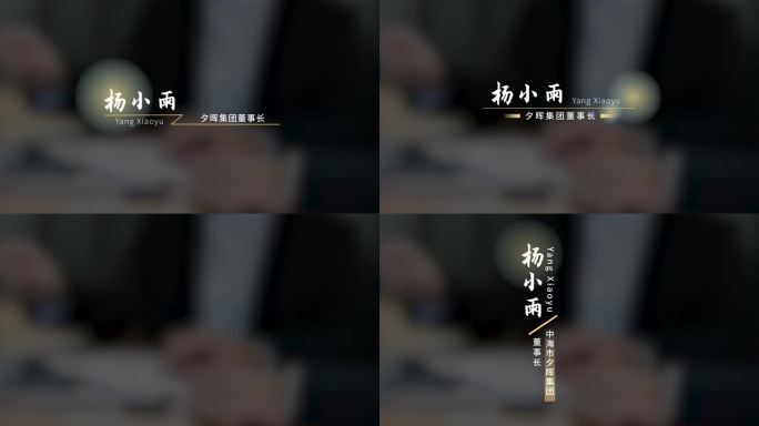 企业文艺简约高级人物介绍条/人名条