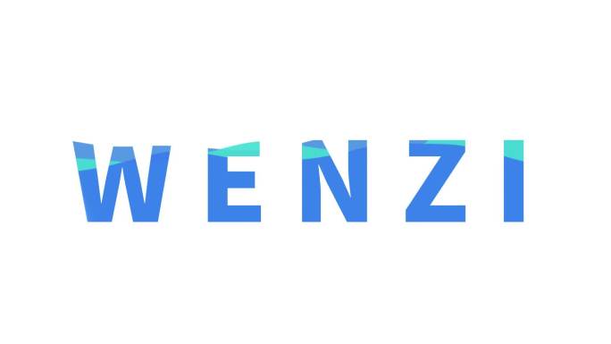 波浪水纹MG文字logo