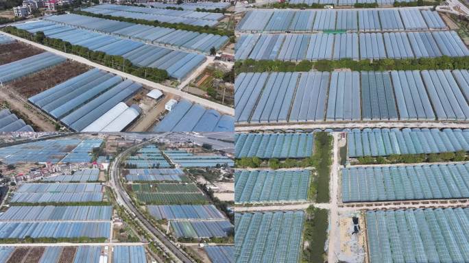 大棚 蔬菜大棚 种植大棚 农业 乡村振兴