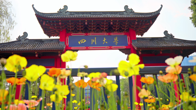 川大望江校区