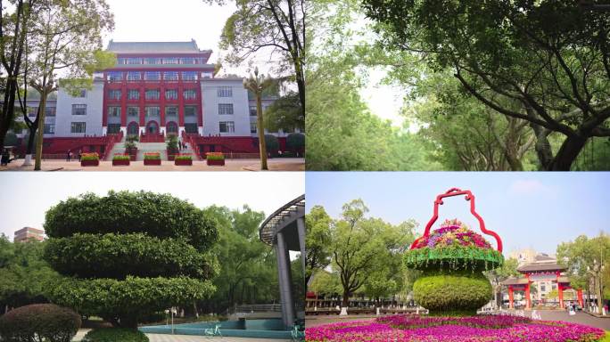 川大望江校区