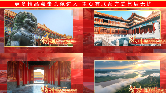 红色党政图文照片展示