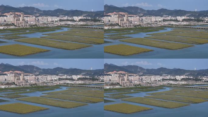 惠州市盐洲海洋湿地公园-红树林航拍