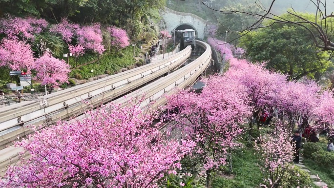 重庆开往春天的列车