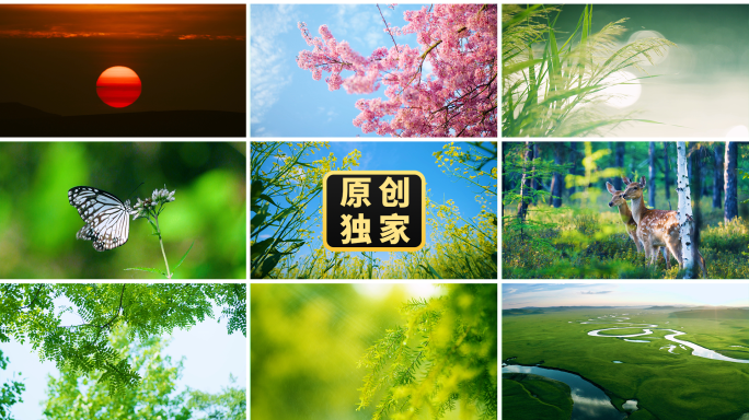 春天万物复苏生机勃勃夏天自然风光森林草原