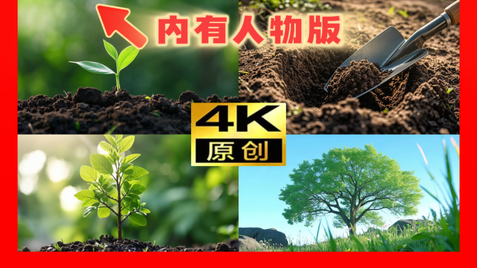 312植树节绿芽生长树苗生长参天大树森林