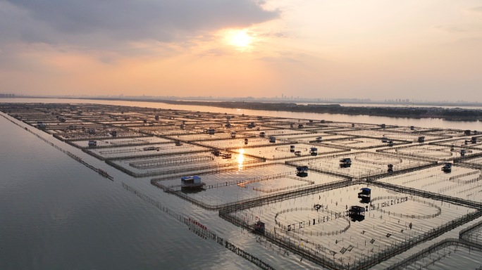 水产养殖阳澄湖大闸蟹夕阳景观